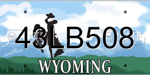 43LB508 Wyoming License Plate