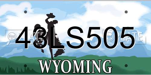 43LS505 Wyoming License Plate