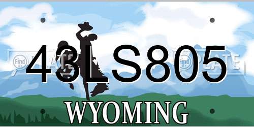 43LS805 Wyoming License Plate