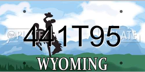 441T95 Wyoming License Plate