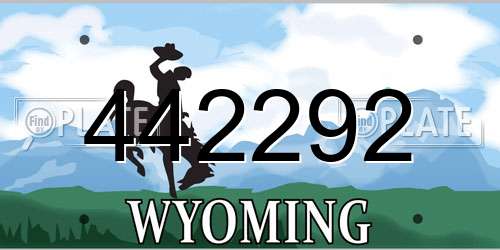 442292 Wyoming License Plate