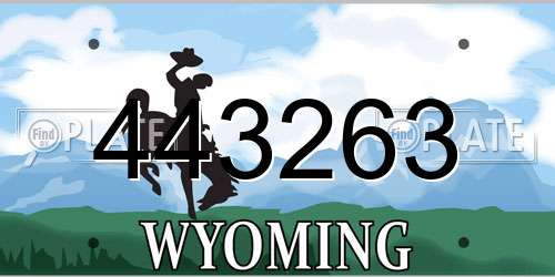 443263 Wyoming License Plate