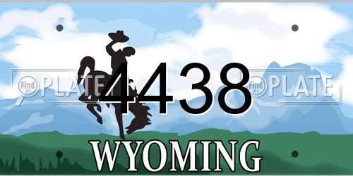 4438 Wyoming License Plate