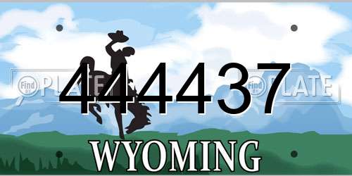 444437 Wyoming License Plate