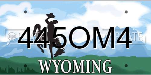 445OM4 Wyoming License Plate