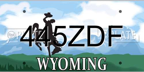 445ZDF Wyoming License Plate