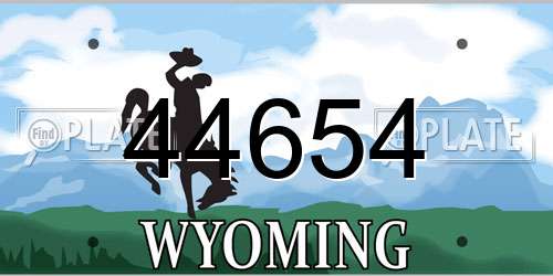 44654 Wyoming License Plate