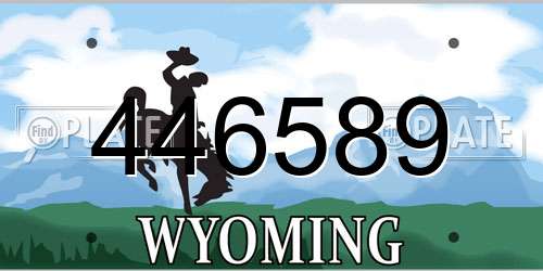 446589 Wyoming License Plate