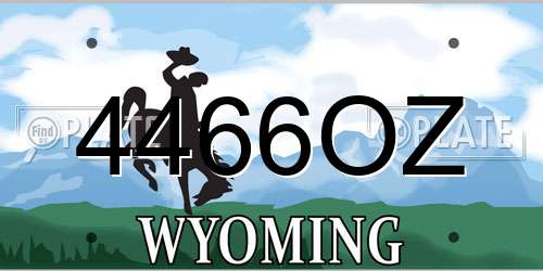 4466OZ Wyoming License Plate