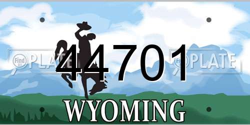 44701 Wyoming License Plate