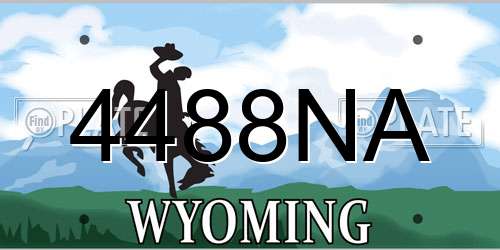 4488NA Wyoming License Plate