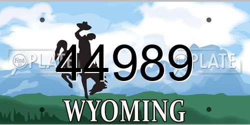 44989 Wyoming License Plate