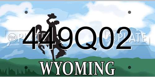 449Q02 Wyoming License Plate