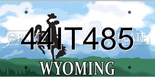 44IT485 Wyoming License Plate