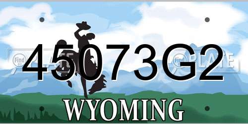 45073G2 Wyoming License Plate