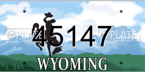 45147 Wyoming License Plate