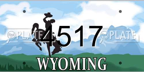 4517 Wyoming License Plate