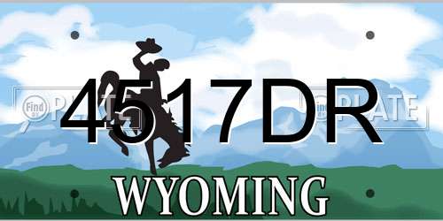 4517DR Wyoming License Plate