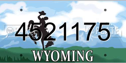 4521175 Wyoming License Plate