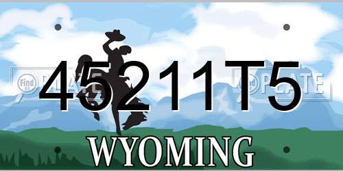 45211T5 Wyoming License Plate