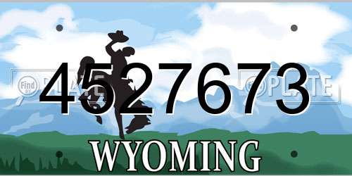4527673 Wyoming License Plate