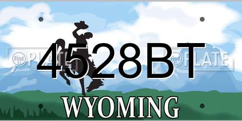4528BT Wyoming License Plate