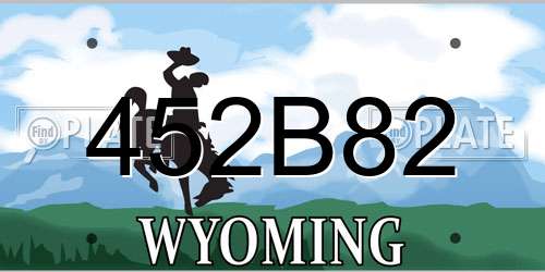 452B82 Wyoming License Plate