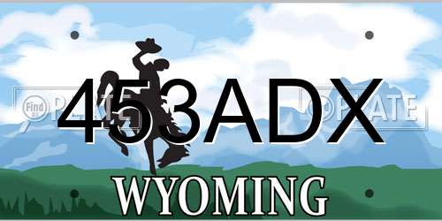 453ADX Wyoming License Plate