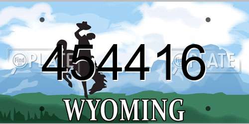 454416 Wyoming License Plate
