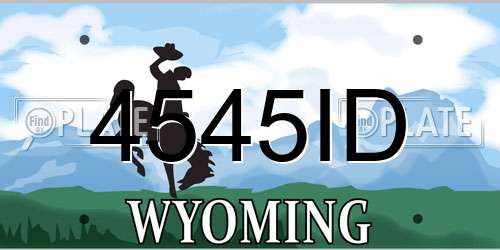 4545ID Wyoming License Plate