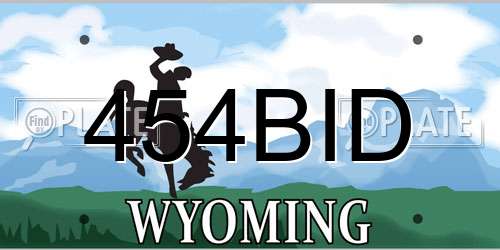 454BID Wyoming License Plate