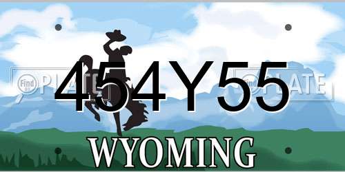 454Y55 Wyoming License Plate