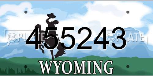 455243 Wyoming License Plate