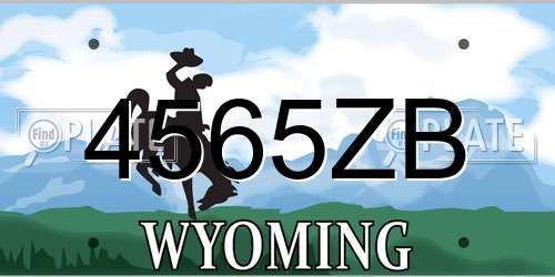4565ZB Wyoming License Plate