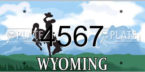 4567 Wyoming License Plate