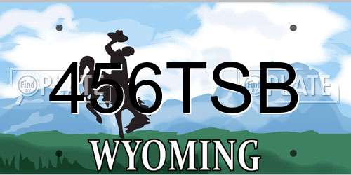 456TSB Wyoming License Plate