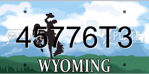45776T3 Wyoming License Plate