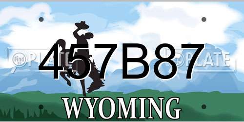 457B87 Wyoming License Plate