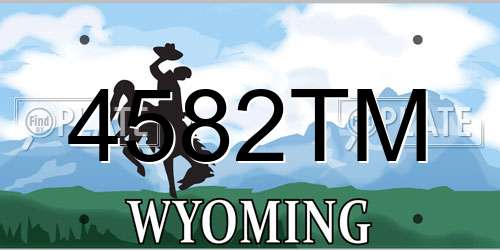 4582TM Wyoming License Plate