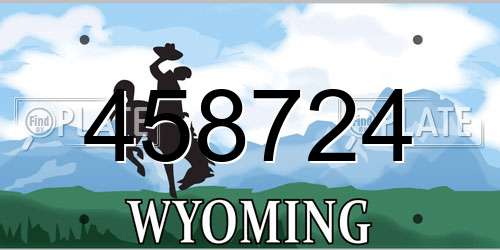 458724 Wyoming License Plate
