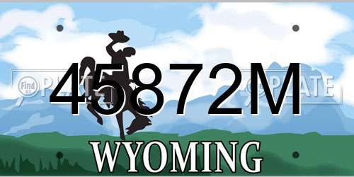 45872M Wyoming License Plate