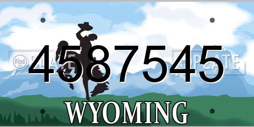 4587545 Wyoming License Plate