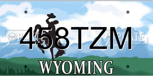 458TZM Wyoming License Plate