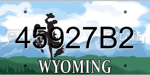 45927B2 Wyoming License Plate
