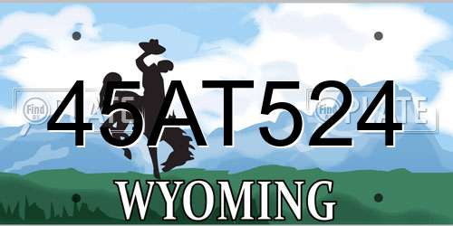 45AT524 Wyoming License Plate