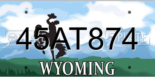 45AT874 Wyoming License Plate