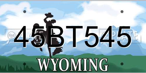 45BT545 Wyoming License Plate