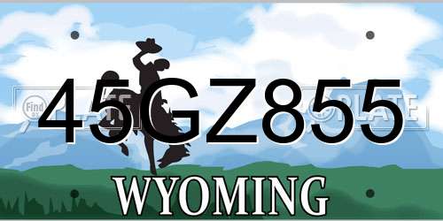 45GZ855 Wyoming License Plate