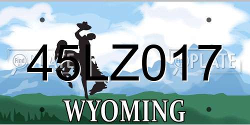 45LZ017 Wyoming License Plate