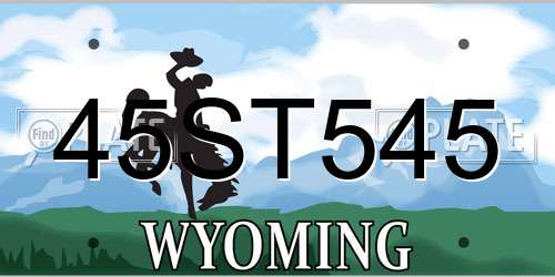 45ST545 Wyoming License Plate